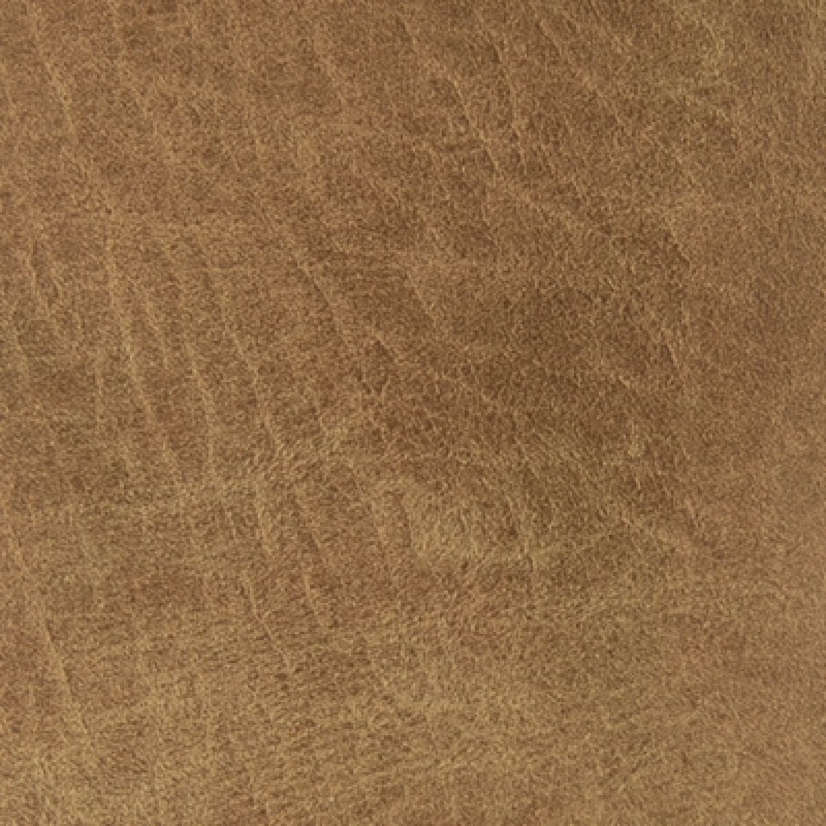 Cortnie Pillow - Image 5