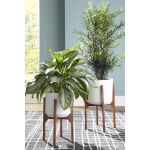 Dorcey Planter (Set of 2)