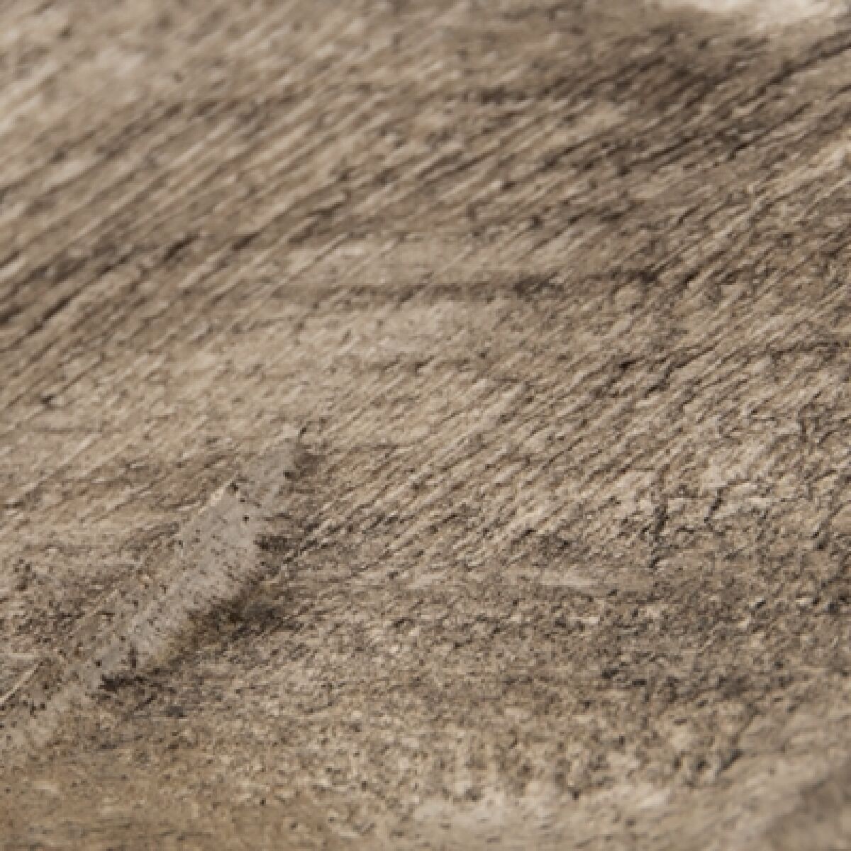 Dashburn Sculpture - Image 7