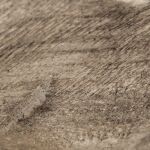 Dashburn Sculpture - Image 7