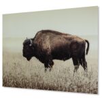 Brutus Wall Art - Image 2