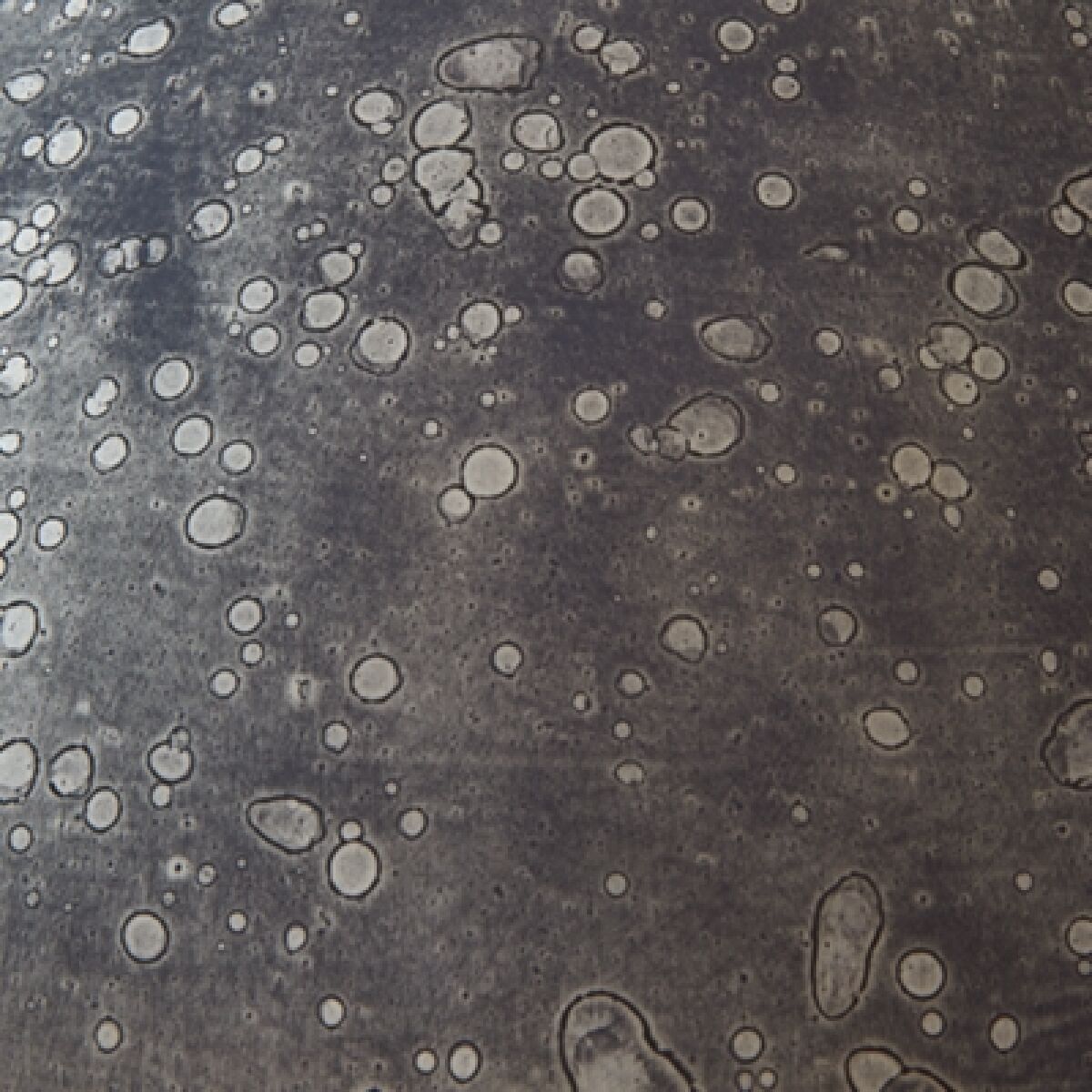 Bluacy Table Lamp - Image 6