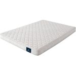 Dunesbury II Foam Firm Tight Top Mattress