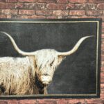 Rude Bison Painting