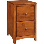 2 Drawer File