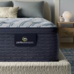 Delphino Nights Queen Medium PT Mattress